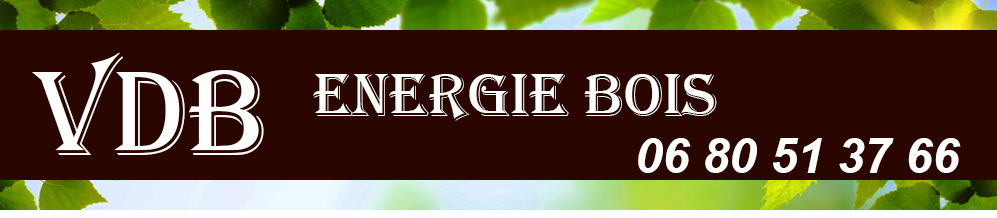 Bois de chauffage à Cheval-Blanc : REMY CALVIERE
